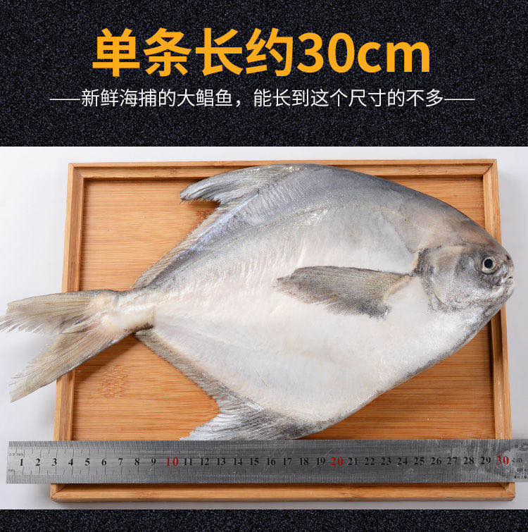 1斤1条东海大鲳鱼新鲜冷冻白鲳鱼银鲳鱼 平鱼 扁鲳鱼海鲜水产,淘宝优惠券,粉丝福利购,淘宝优惠卷