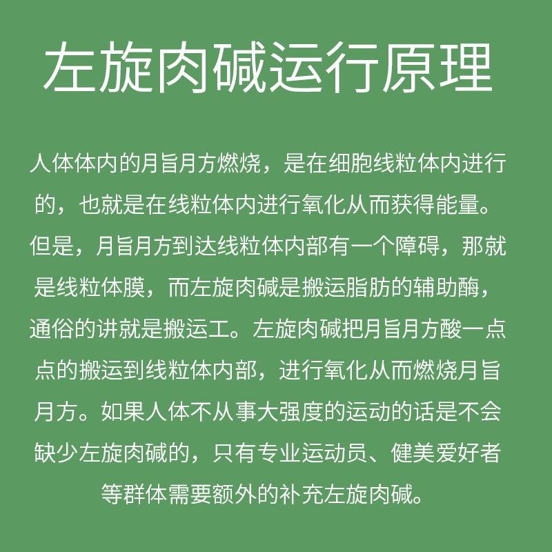 左旋肉碱 L-肉碱 运动食品级高纯度 健身补剂 脂肪终结者左卡尼宁 - 图1