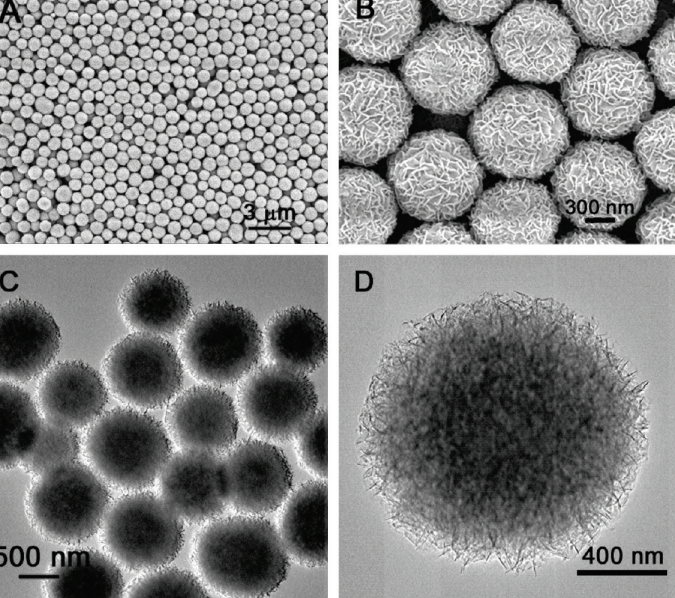 全暴露001面二氧化钛粉末实验室发文章用光催化电化学tio2 - 图1