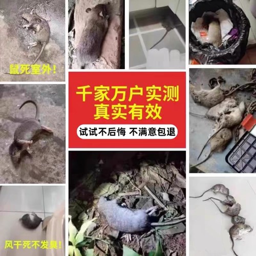 【驱鼠第一名】老鼠特药无毒老鼠家用药室外死效老鼠神药一闻就倒 - 图0