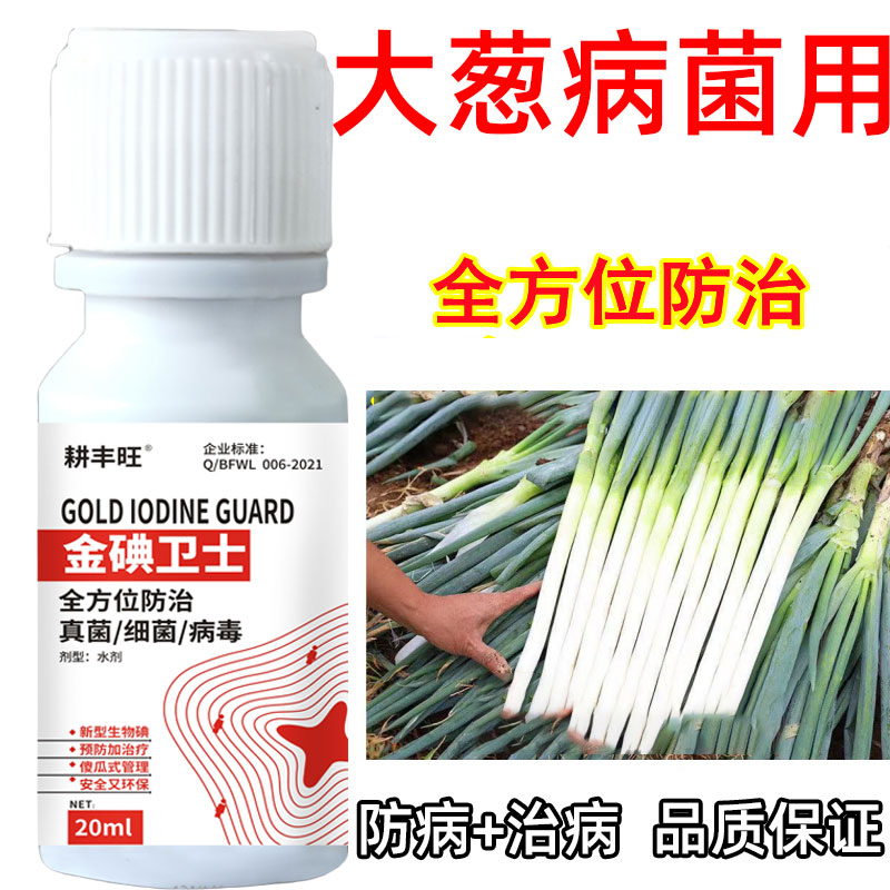 大葱生病药大葱杀菌剂大葱干尖黄尖紫斑病黑斑大葱专用药大葱病害 - 图1