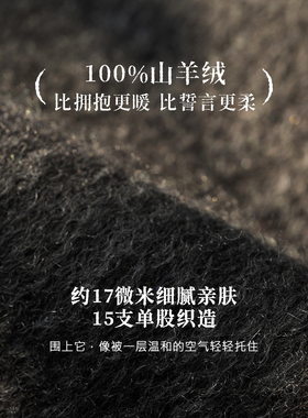 FANCET100%羊绒男士双面围巾