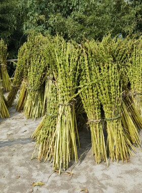 芝麻杆节节高乔迁开业喜庆装饰