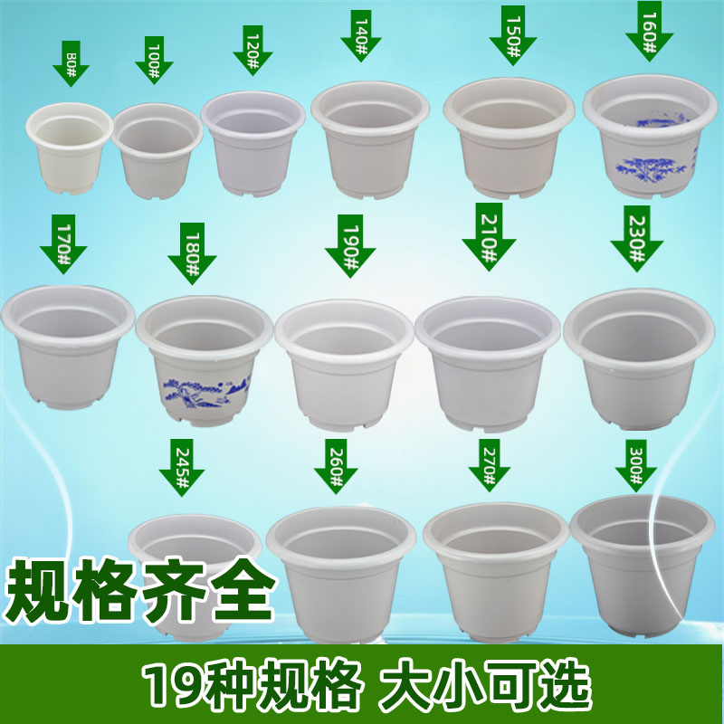 五个装国际塑料花盆家居大花盆纯白反边花卉绿植基地种植盆杯包邮