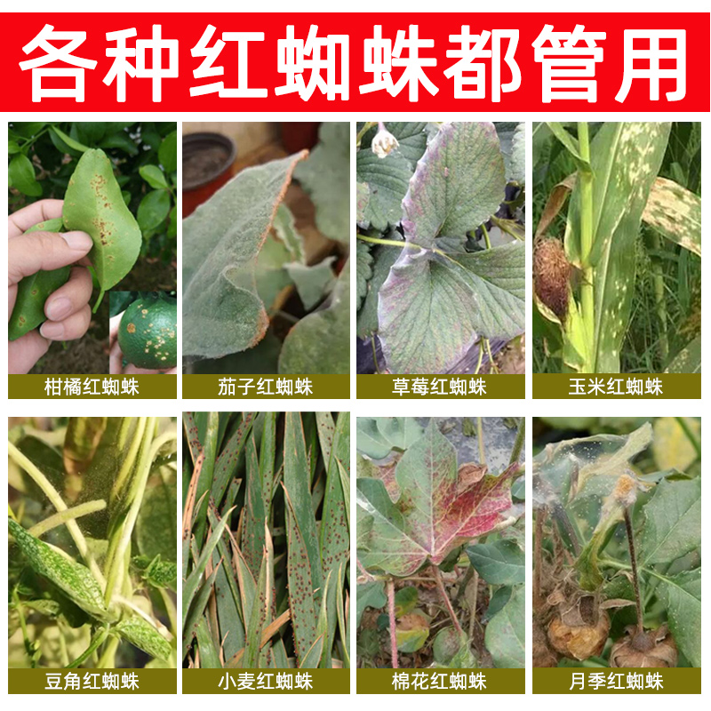 红蜘蛛专用药阿维哒螨灵菌素杀虫剂葡萄柑橘梨树桃树果树花卉农药-图1