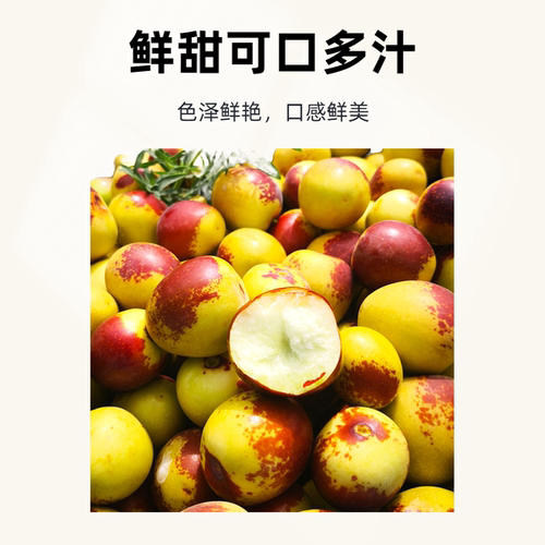 新疆戢牌牛奶脆冬枣自然成熟脆枣新鲜大枣水果爆甜多汁顺丰包邮 - 图1