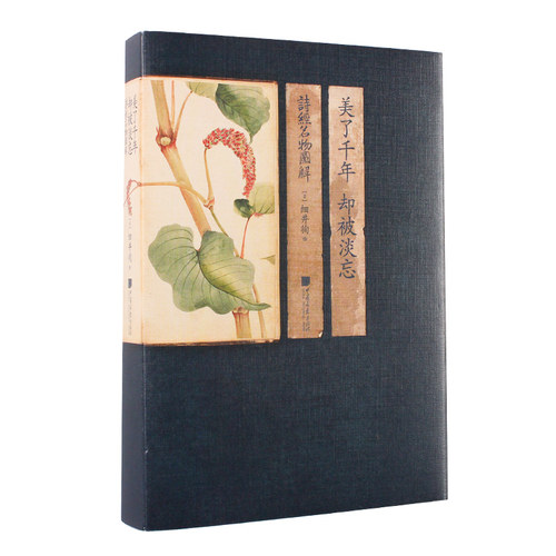诗经名物图解 《诗经》中动植物的古风手绘画 索线装仿古书籍  细井徇 美了千年却被淡忘 中国画报出版社 诗经草木绘装帧精美 - 图3