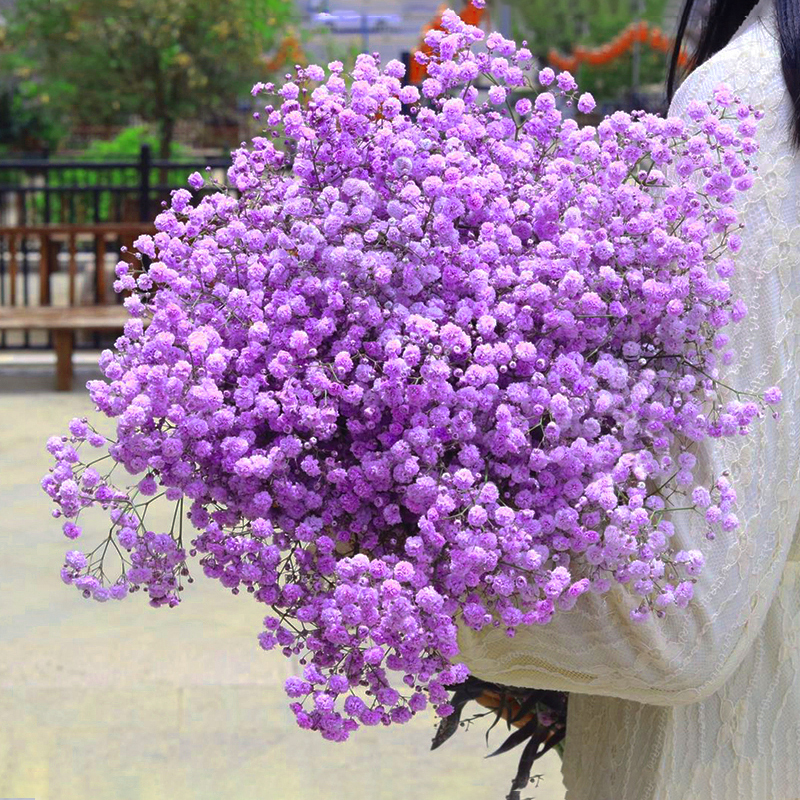 云南超大束满天星干花花束落地真花带花瓶天然风干客厅装饰摆件-图1