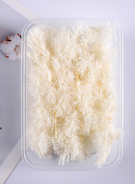 蓬莱松永生花干花diy材料包手工植物浮油瓶相框团扇玻璃罩贴画