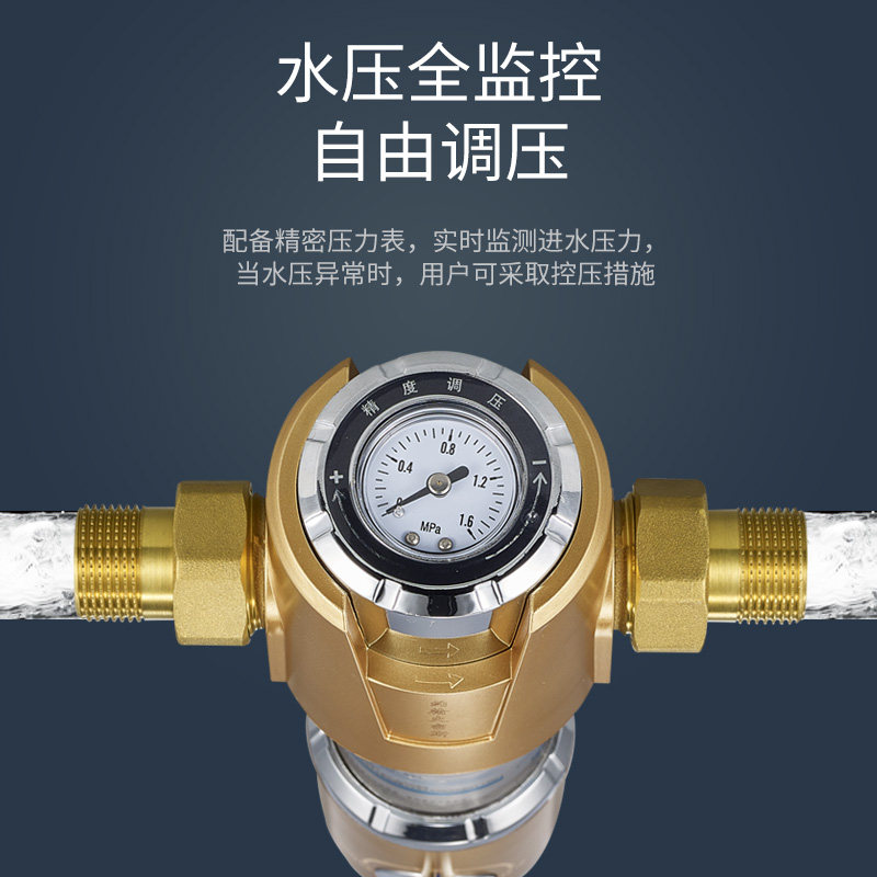 免换滤芯家用自动全铜前置过滤器反冲洗自来水全屋净水器十大品牌