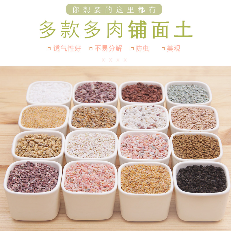 多肉植物铺面石 多肉专用多款铺面聚合套餐铺面土多色混合