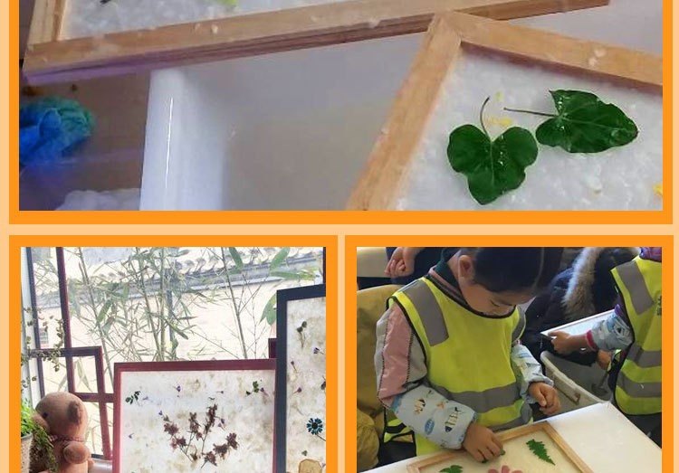 古法造纸术套装材料包花草纸脱水纸浆画原材料儿童手工diy团活动,淘宝优惠券,粉丝福利购,淘宝优惠卷