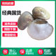 Tile shell old anti-crack Shanghai hand guard Tile shell old Shanghai hand guard