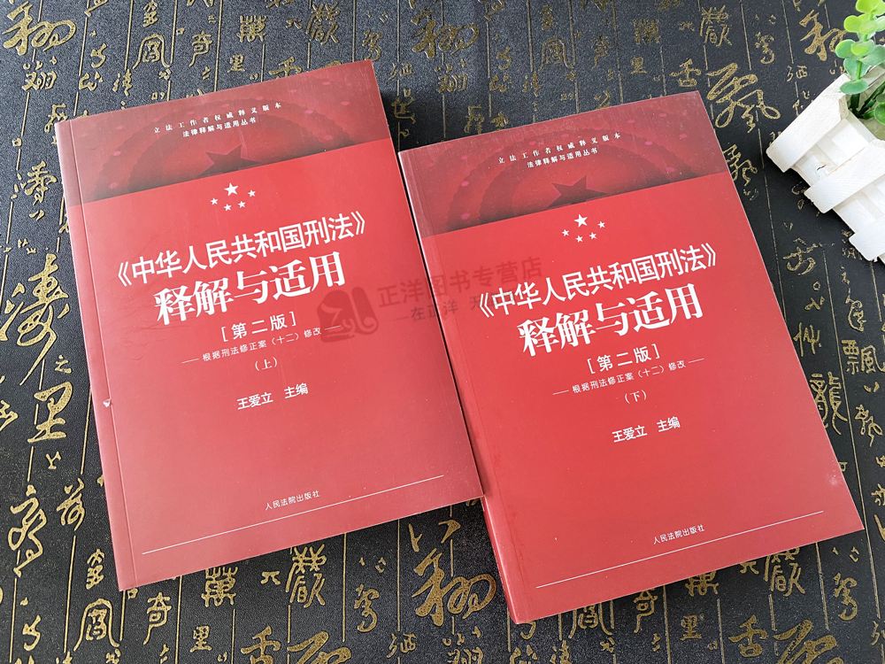 2024新 中华人民共和国刑法 释解与适用 第二版2版 上下册 王爱立 根据刑法修正案十二修改 刑法实务 人民法院出版社9787510940569 - 图0