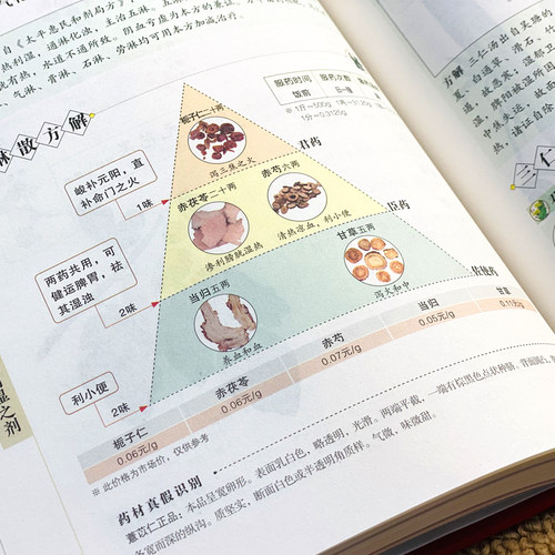 认准正版】完整版汤头歌诀全套无删减原版白话文带详解中医养生书籍大全书 解中医草药养生入门黄帝内经本草纲目神农本草经书籍 - 图1
