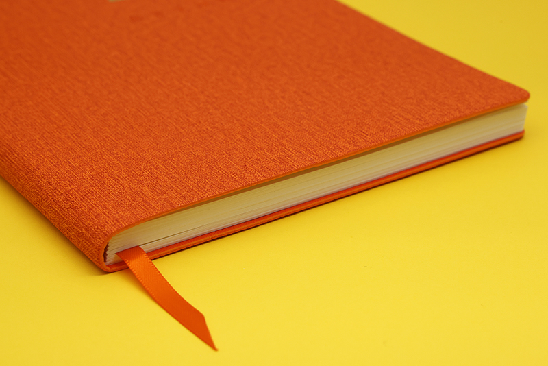 正版2024新书 公司法高效学习笔记版 全新修订公司法 自2024年7月1日起施行 让法条学习变得轻松有趣 法条书+笔记本 法制出版社 - 图2