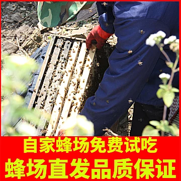 纯正天然农家正宗土蜂蜜[13元优惠券]-寻折猪