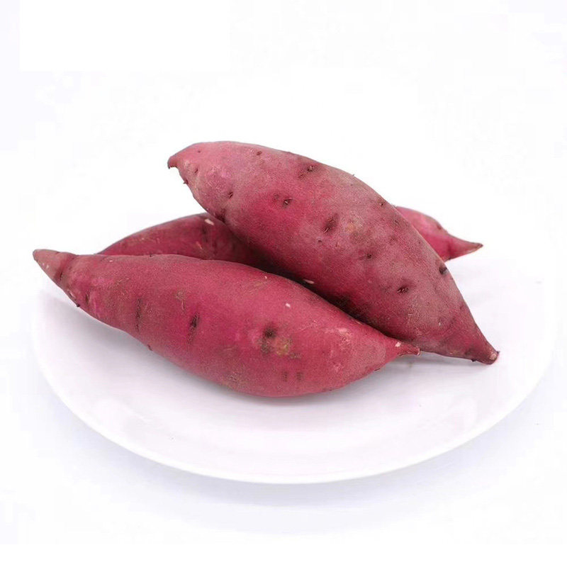 北京当日达】52度良作5斤包邮番薯 百宝源水果番薯