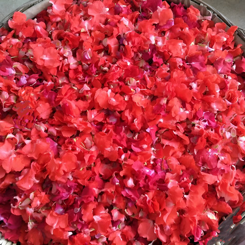 白色凤仙花花瓣新鲜治疗红灰指甲草染人指甲小桃红女儿花泡脚泡酒 - 图2