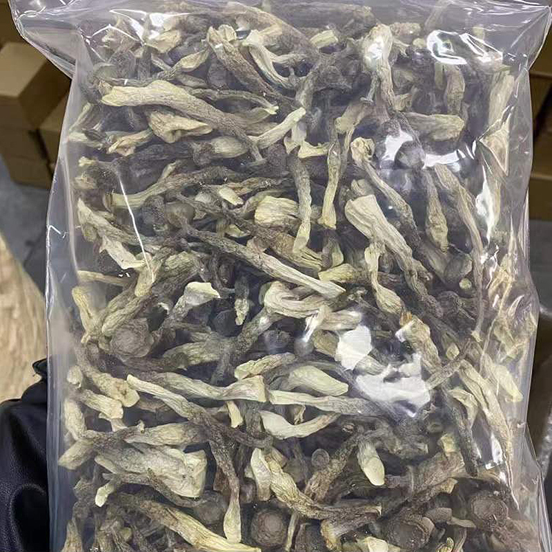 鹿茸菇干货500g鹿茸菌新鲜营养商用脆蘑菇野生菌干香菇土特产特级 - 图0