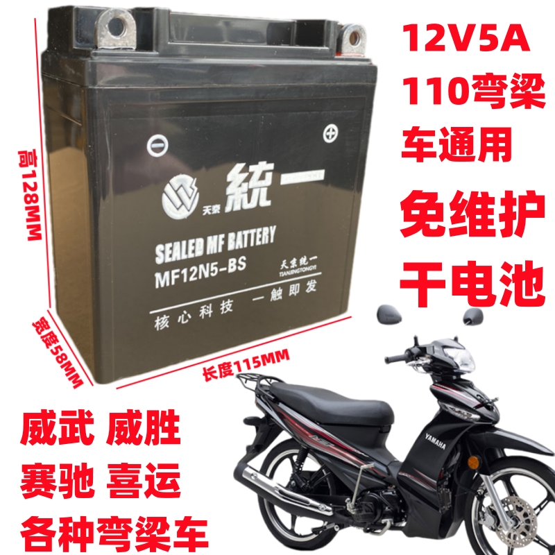 雅马哈摩托车电瓶12v5ah适用于豪爵喜运110弯梁车天剑125天京统一 - 图0