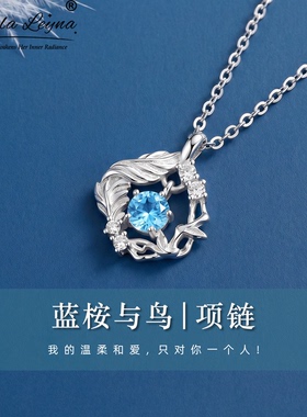 SHEILA LEYNA蓝桉与鸟小众项链女生轻奢锁骨链情人节礼物送女朋友