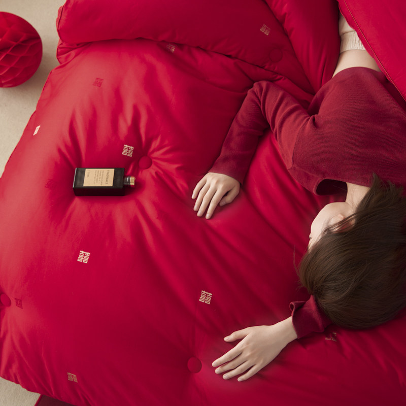 喜字刺绣红色婚庆被芯大豆纤维四季被抗菌结婚陪嫁春秋被子冬被芯,淘宝优惠券,粉丝福利购,淘宝优惠卷