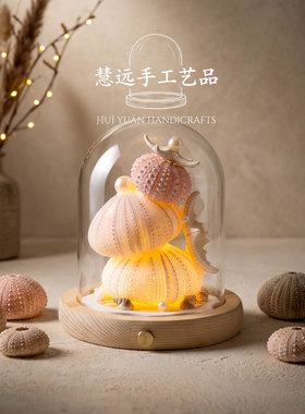 海胆壳插电夜灯感应床头氛围灯