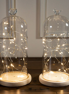 永生花发光玻璃罩摆件装饰品情人节礼物防尘罩手办透明创意