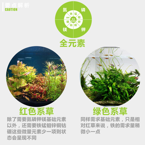 草场自用液肥全元素螯合铁肥微量物质肥料水草营养液基础肥钾氮肥 - 图1