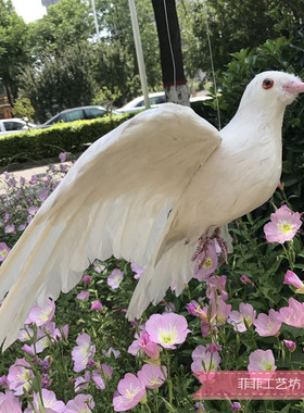 仿真白色影视婚礼道具和平鸽