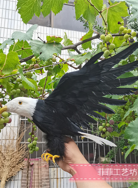 仿真羽毛老鹰模型摄影拍摄道具cos装饰鹰动物办公室桌面金雕摆件