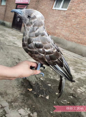 菲菲羽毛祝福园林庭院创意老鹰