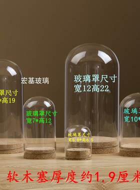 永生花软木塞 玻璃罩子羊毛毡收纳防尘手工艺品干花娃娃盲盒粘土