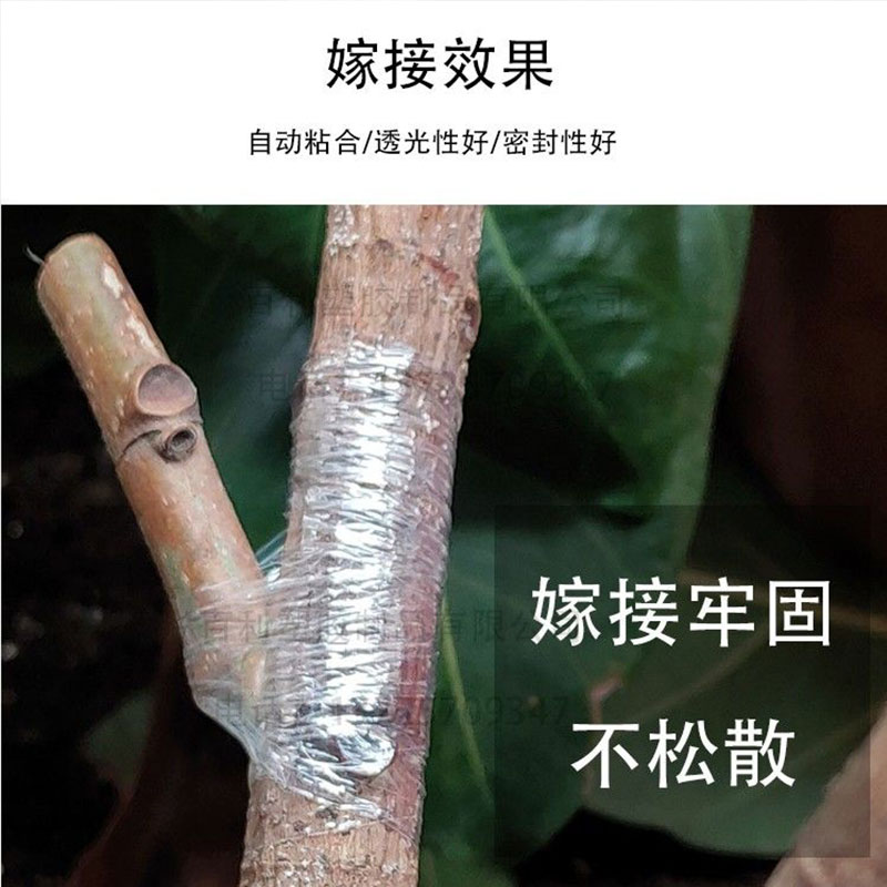 PE超薄嫁接膜嫁接绑带果树苗木包扎带自粘膜加厚园林花场专用薄膜-图1