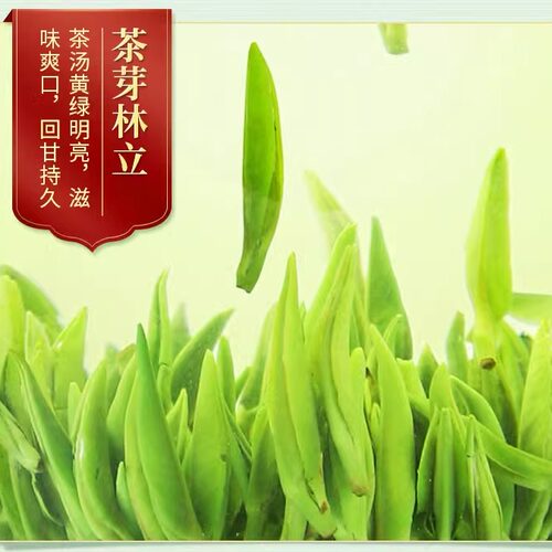 湄潭翠芽2026新茶贵州雀舌绿茶明前特级毛尖春茶浓香型240g礼盒装 - 图1