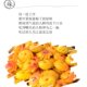Erbao carved plum 300g bagged seedless plum meat Yunnan Dali travel snacks preserved fruit handmade plum cake