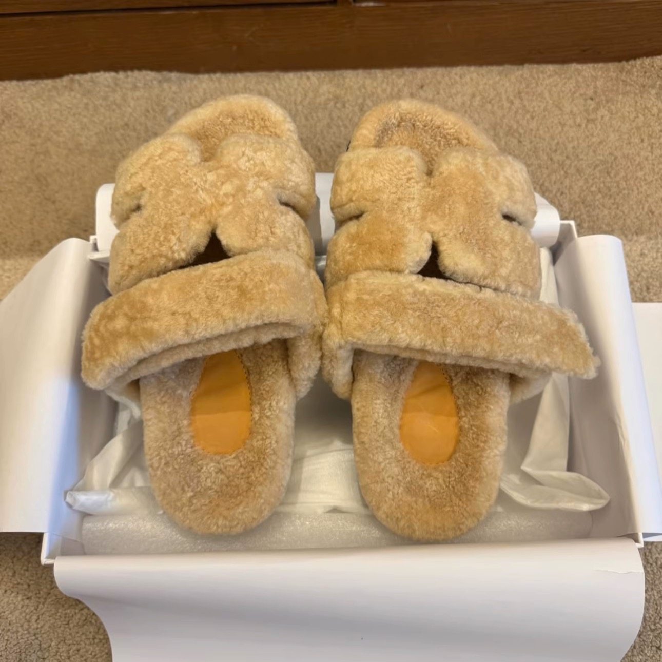 正确版本！澳洲进口羊皮毛一体二舅毛毛拖,淘宝优惠券,粉丝福利购,淘宝优惠卷