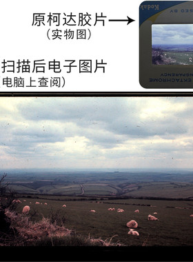 底片扫描仪135mm胶卷胶片扫描翻转黑白彩色幻灯片反转片翻拍器