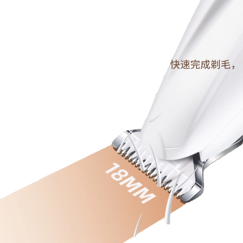 Зарядка кошачья бритье ноги волосы собака собака бритье, ножницы, ноги дно