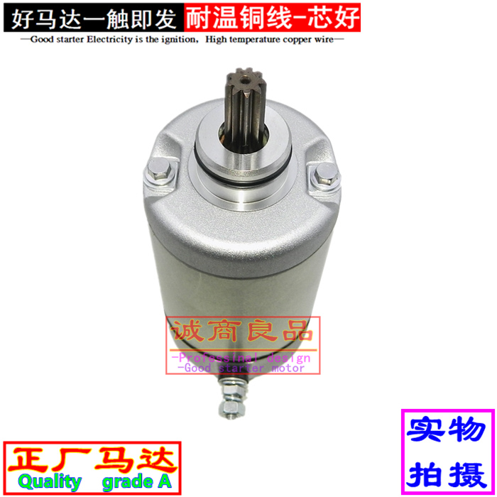 适用ZONTES升仕ZT310-X/R/T/V 幽灵ZT250-S/R起动机启动马达碳刷 - 图0