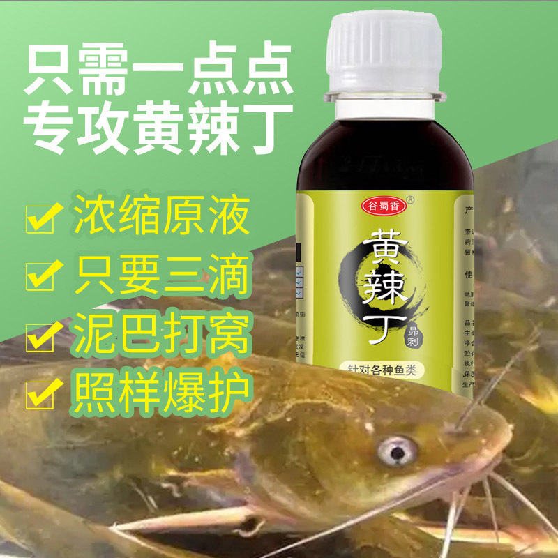 昂公鱼黄骨鱼黄丫头吱黄刺公疙阿丁黄腊丁嘎牙子昂刺鱼黄刺骨小药-图0