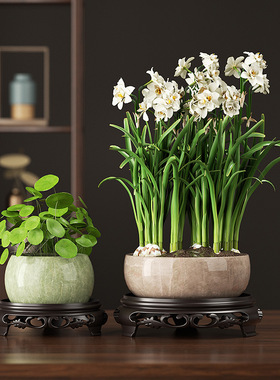 花盆底座鱼缸景摆件工艺品