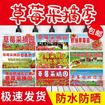 Custom Fruit Strawberry Picking Garden Poster Outdoor Waterproof Spray Plop Can Hang Grape Picking Garden Promotional Advertisement