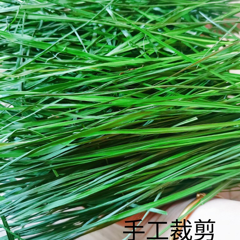 2023烘干头茬提摩西草段叶多兔子草料荷兰猪龙猫饲料干草北提1kg - 图2