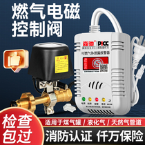 Gas Electromagnetic Control Valve Liquefied Gas Tank Alarm Gas Leak Automatic Breaking Gas Valve Propane Gas Alarm