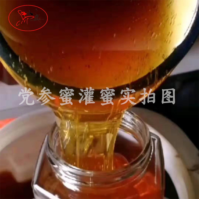 马小成党参蜜农家自产纯正天然蜂蜜孕妇甘肃药材原产地解酒温性蜜