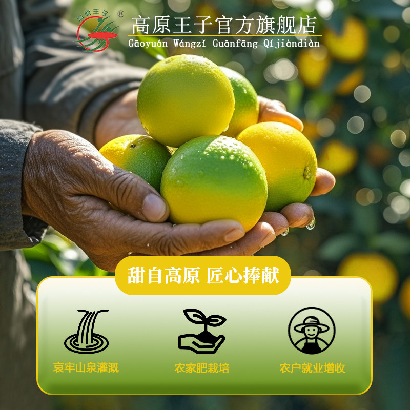 高原王子冰糖橙云南玉溪花斑果褚橙十斤装新鲜水果橙子官方旗舰店,淘宝优惠券,粉丝福利购,淘宝优惠卷