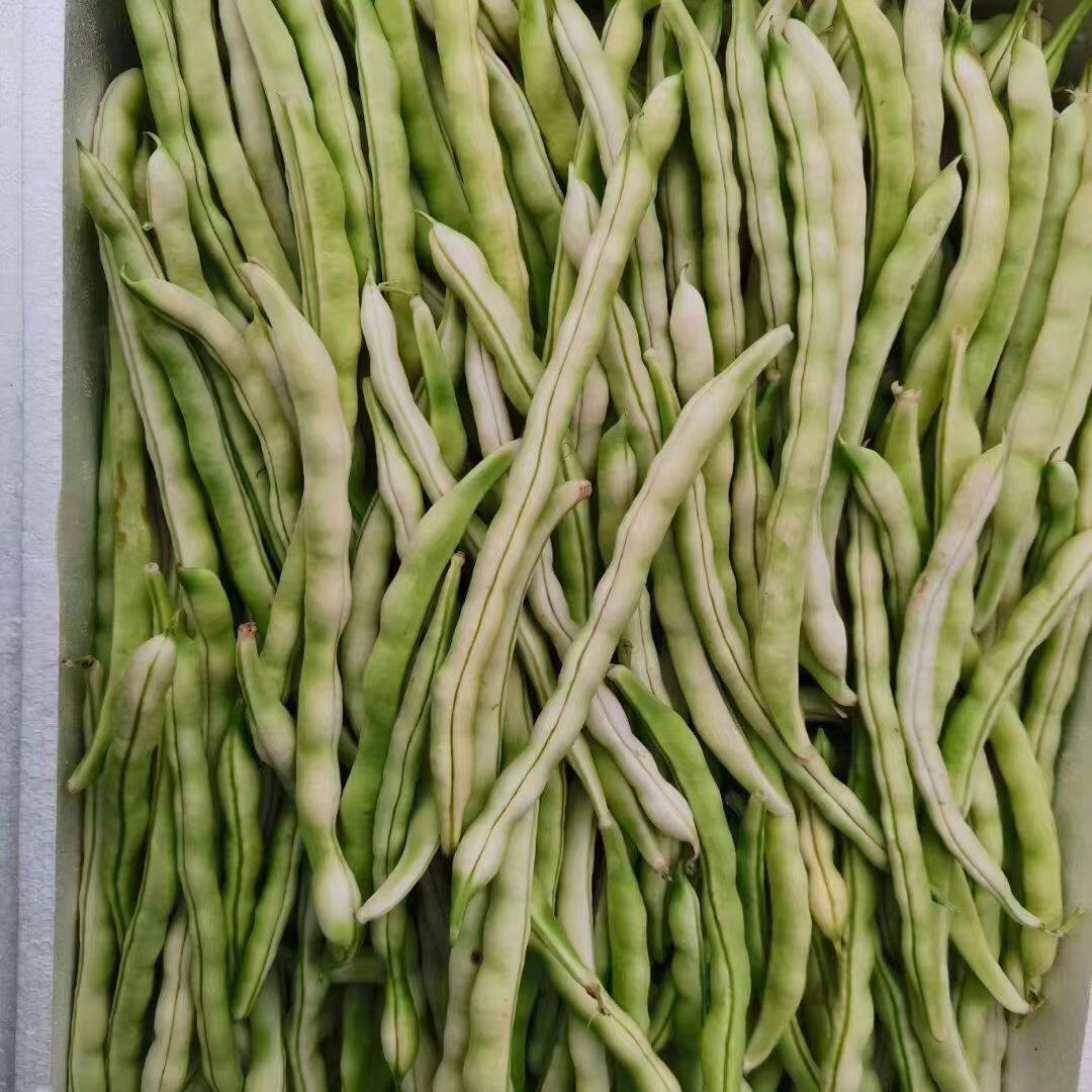 五莲芸豆角新鲜四季豆白豆角扁豆5斤包邮老来少山东豆角现摘蔬菜,淘宝优惠券,粉丝福利购,淘宝优惠卷
