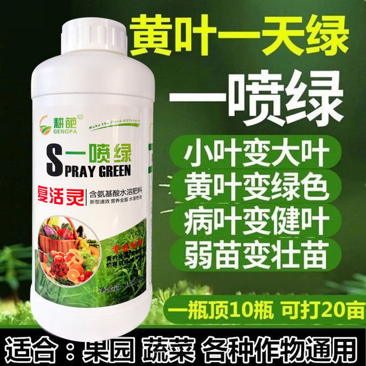 一喷绿氨基酸叶面水溶肥料肥果树蔬菜花卉黄叶植物通用中微量元素-图1